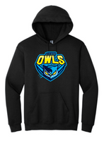 Load image into Gallery viewer, New Owl Design - HOODY
